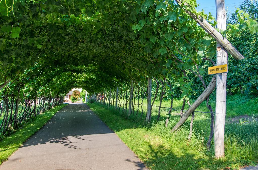 Pension Etschblick B&B Frangarto Exteriör bild